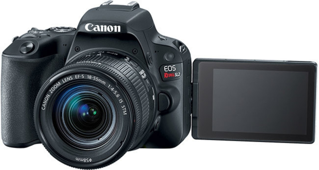 Canon EOS Rebel SL2 (200D) Image 21