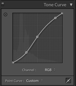 adjusted Lightroom tone curve