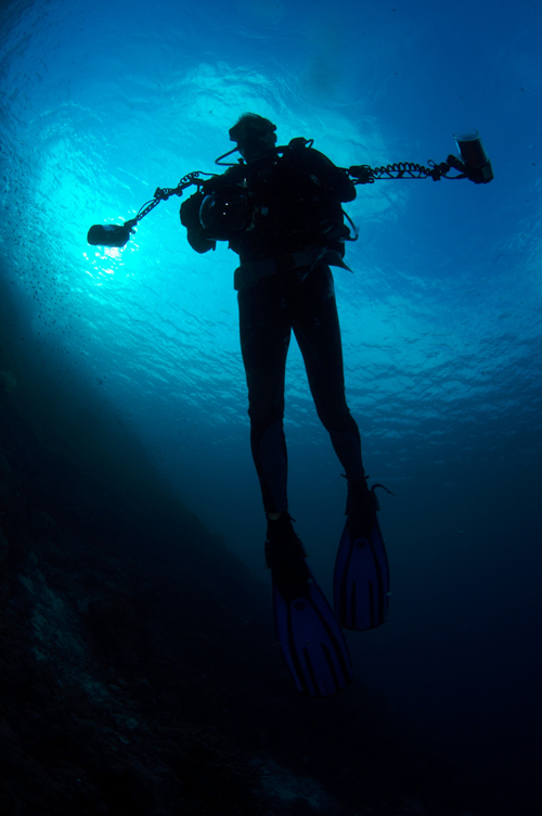 Underwater silhouette photograph by Jason Heller