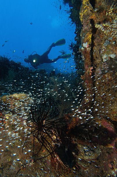 underwater wreck silhouette photo